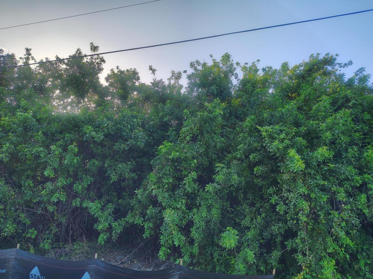 MLS #B26046485 image #0