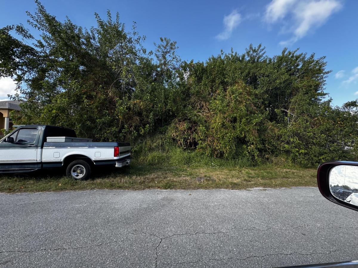 MLS #B26048141 image #0