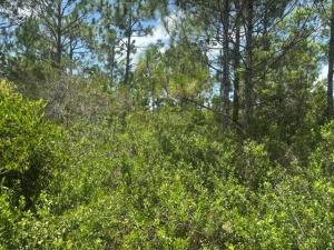 MLS #B26045676 image #0