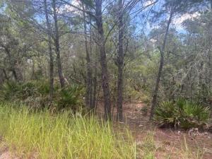 MLS #B26053584 image #0