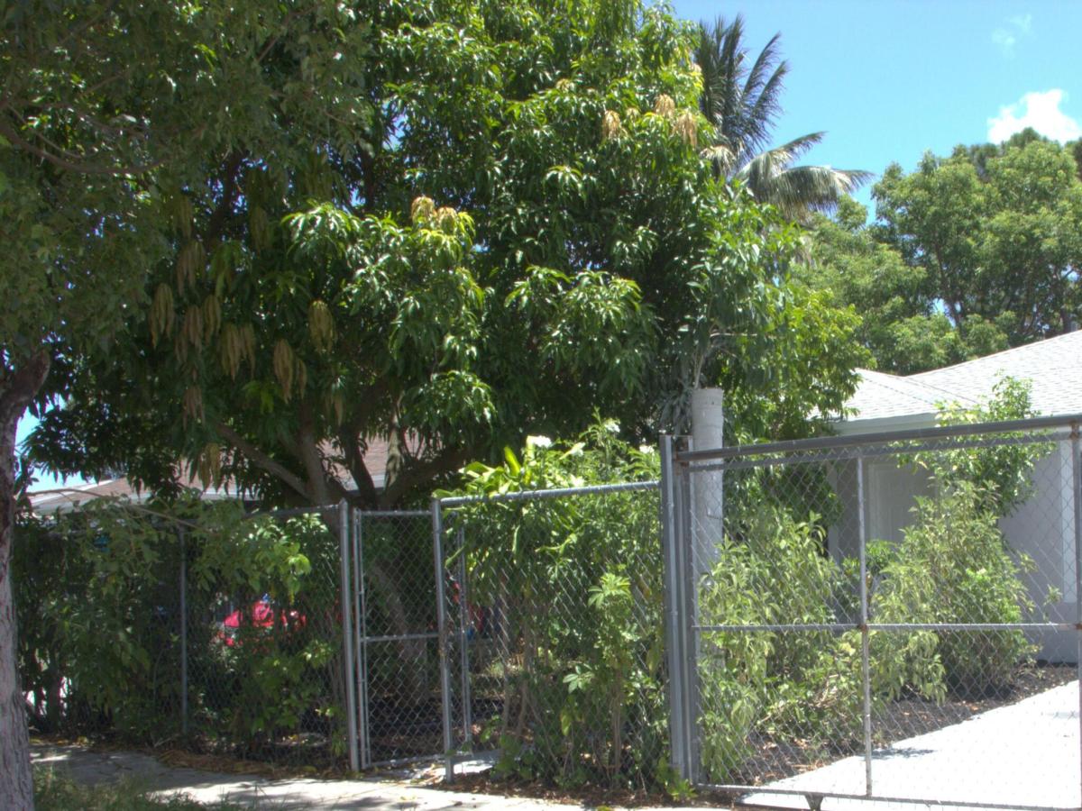 MLS #B26056876 image #0