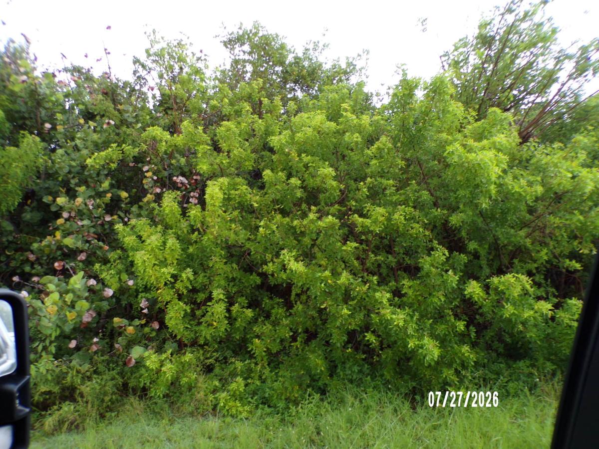 MLS #B26057739 image #0