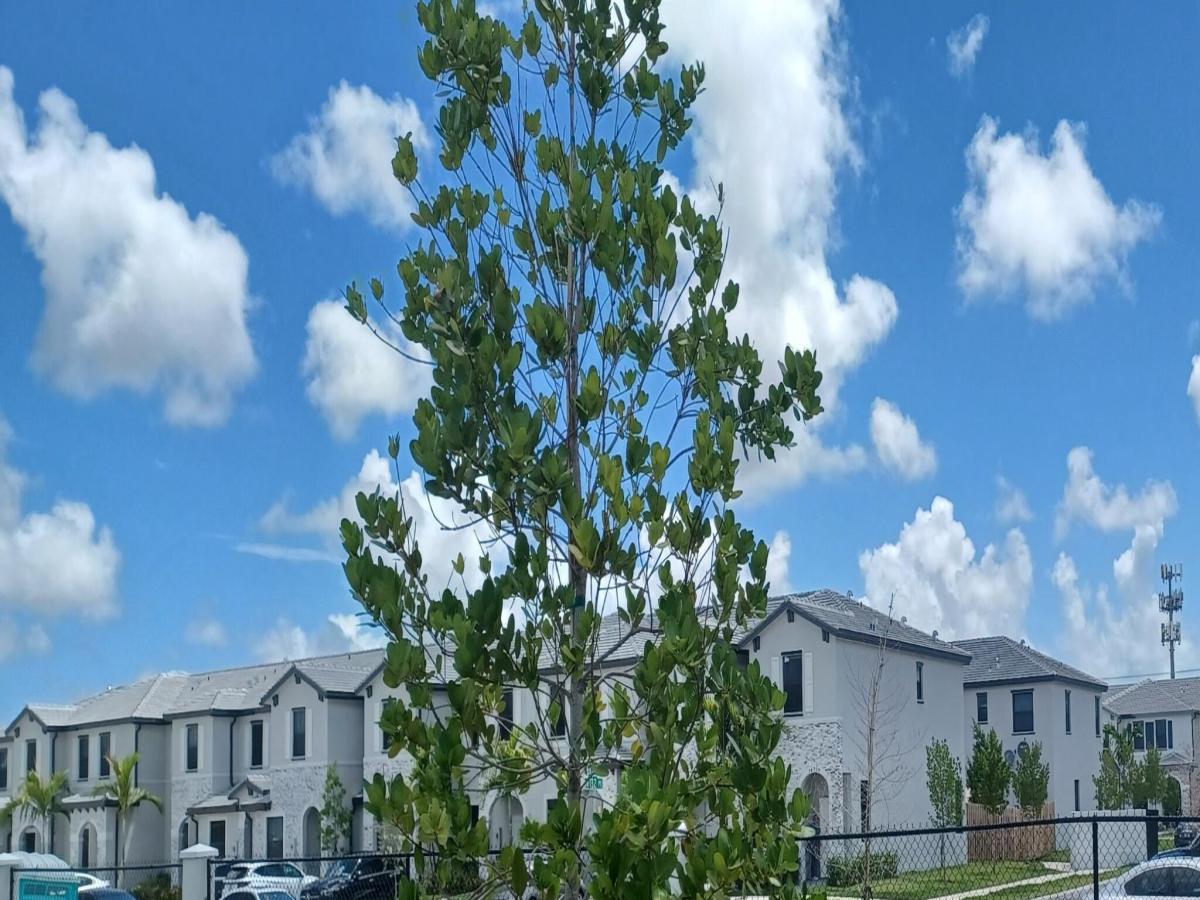 MLS #B26058347 image #0