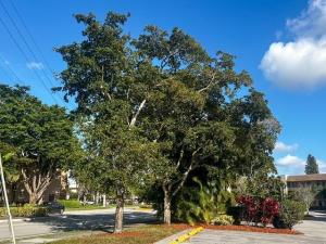 MLS #B26059831 image #0