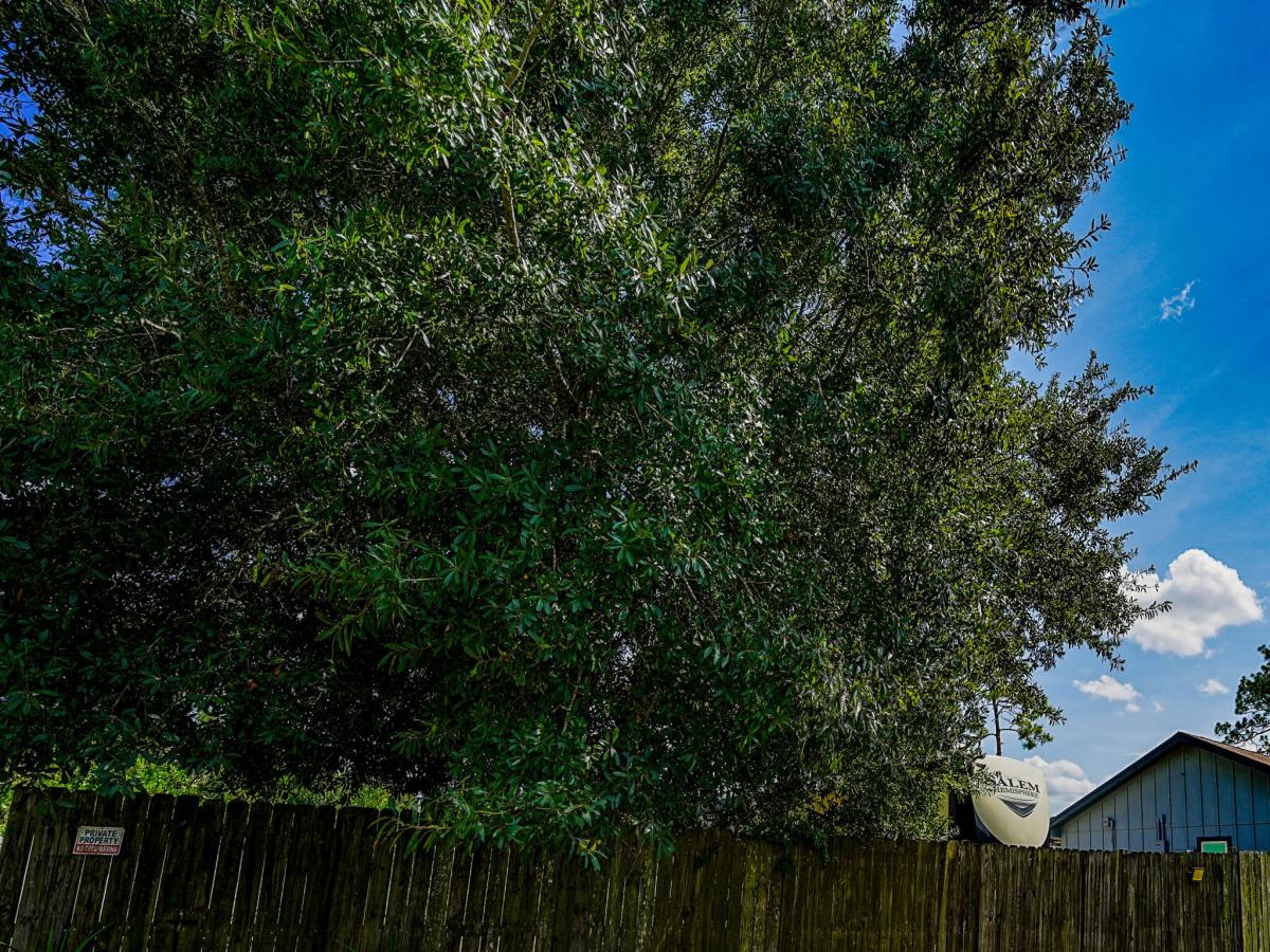 MLS #B26059927 image #0