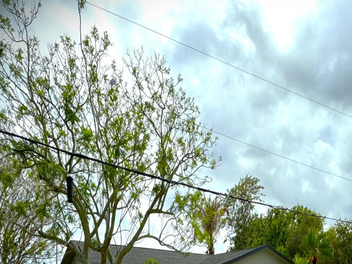 MLS #B26060772 image #0