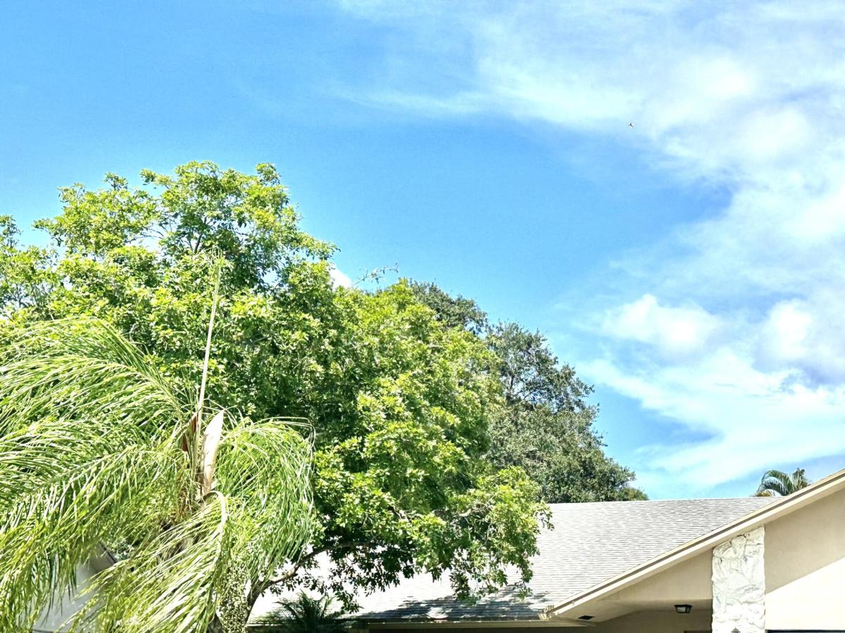 MLS #B26064127 image #0
