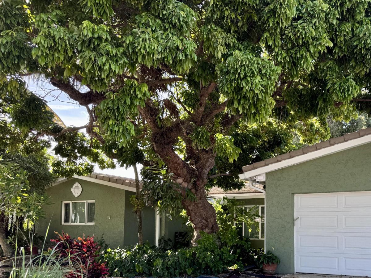 MLS #B26064637 image #0