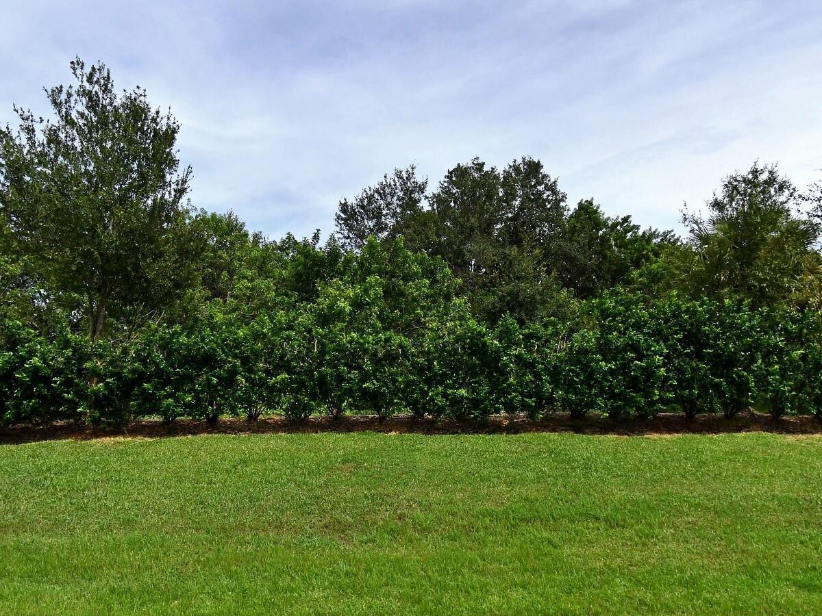 MLS #B26065675 image #0