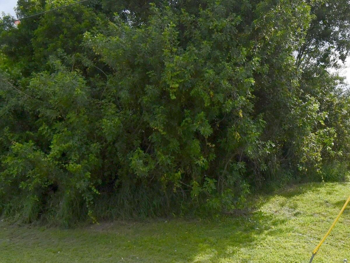 MLS #B26065888 image #0