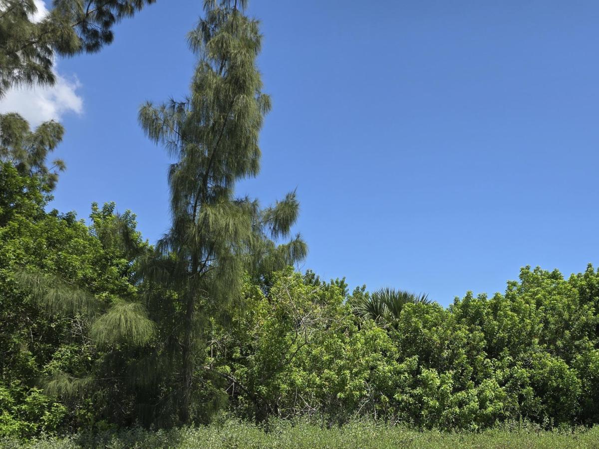 MLS #B26066015 image #0