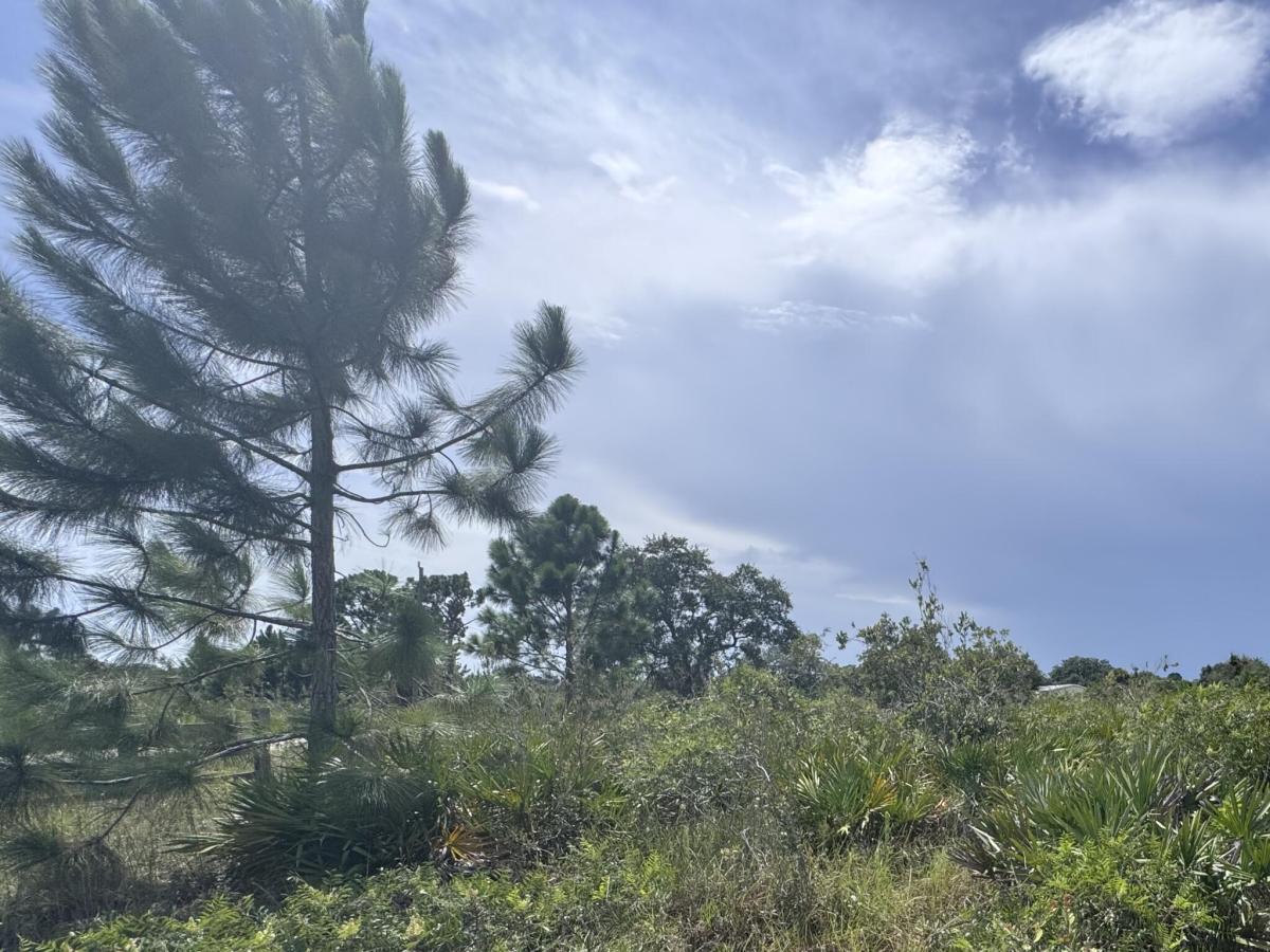 MLS #B26066249 image #0