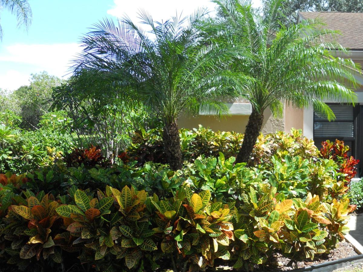 MLS #B26067475 image #0