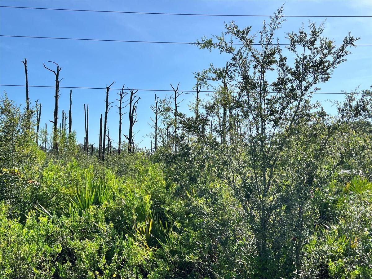 MLS #F10518935 image #0