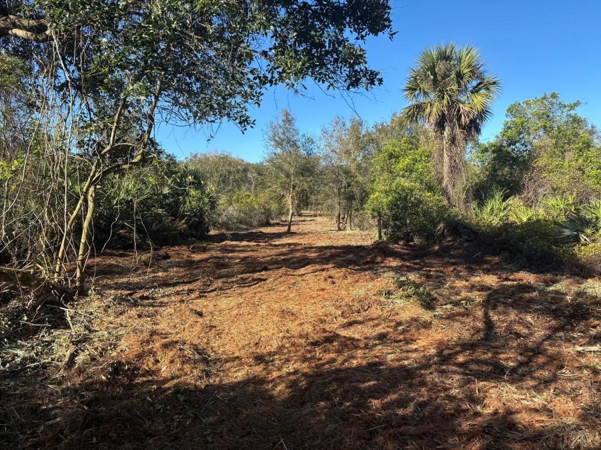 MLS #F10523860 image #0