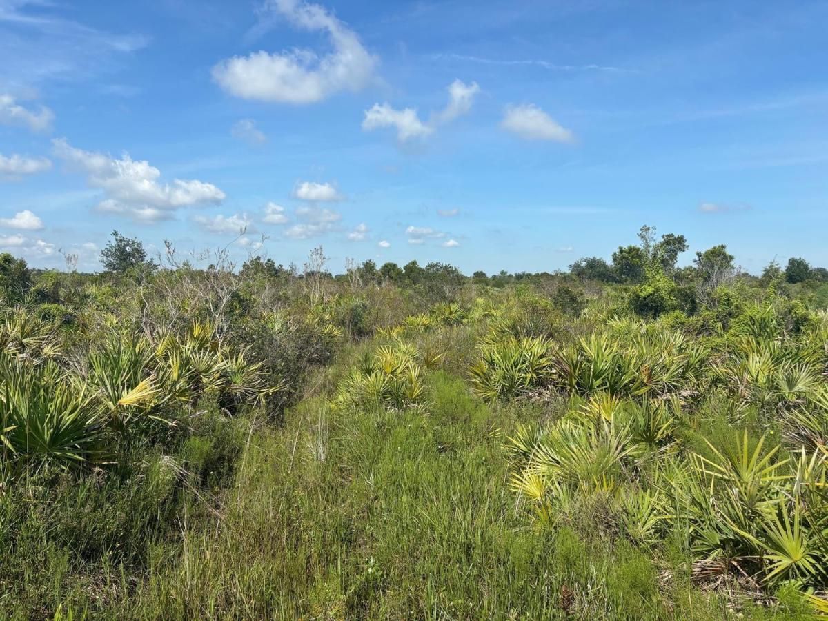 MLS #F10524033 image #0