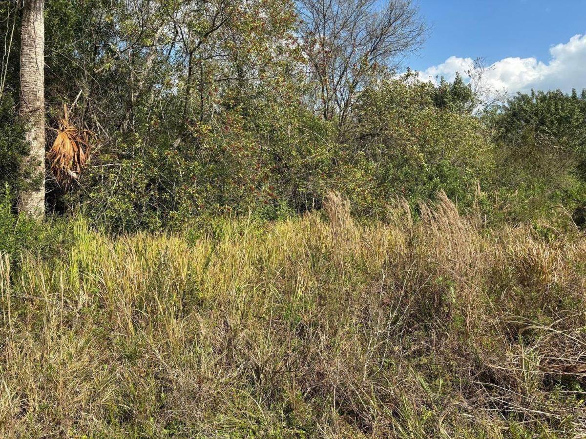 MLS #F10524290 image #0