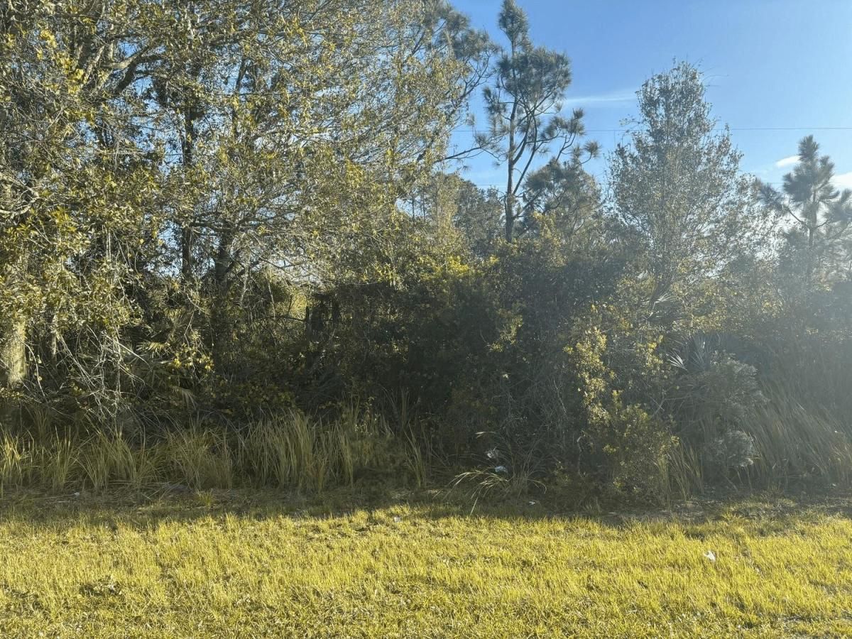 MLS #F10526858 image #0