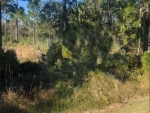 MLS #F10527513 image #0