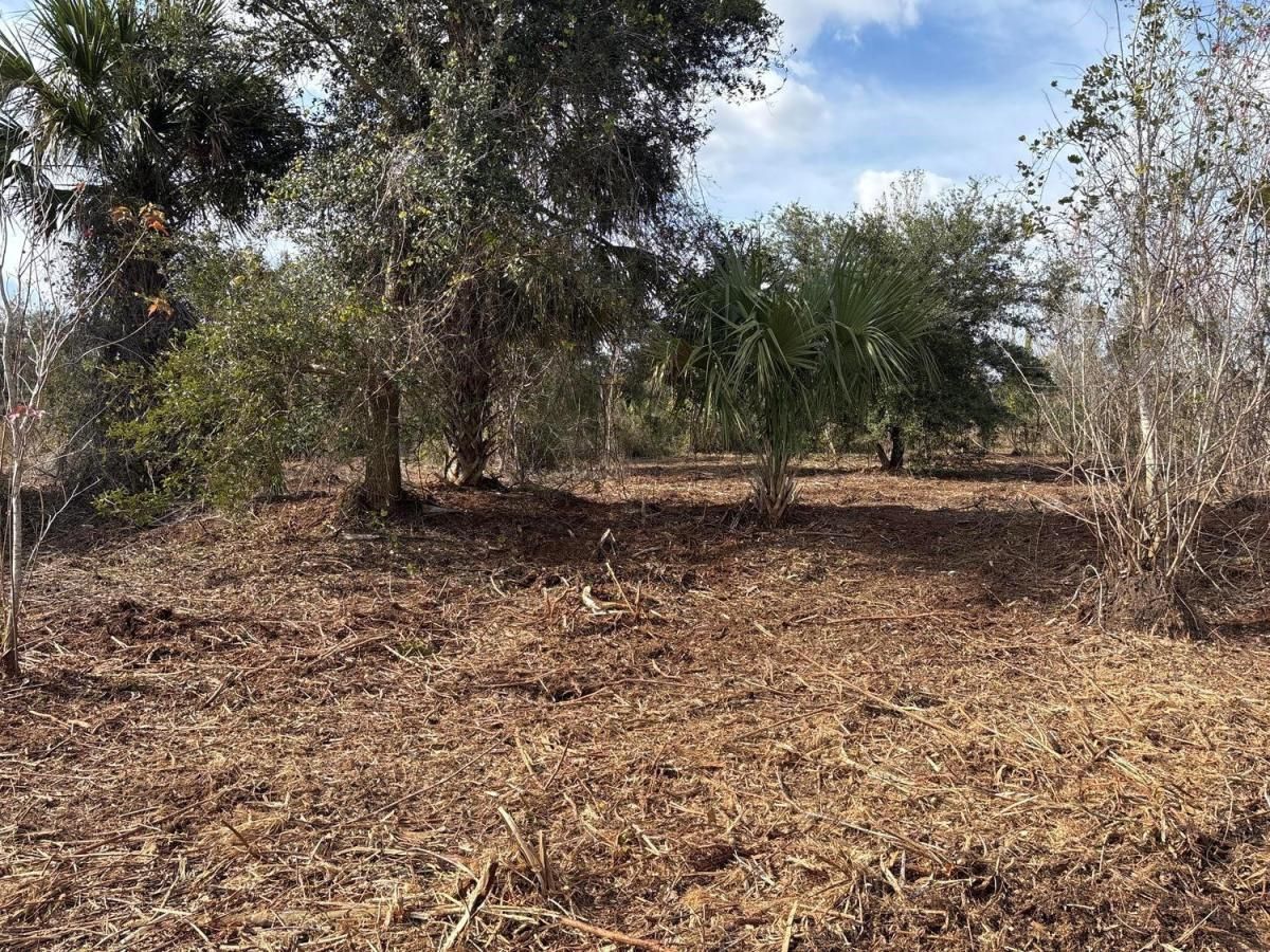 MLS #F10528278 image #0