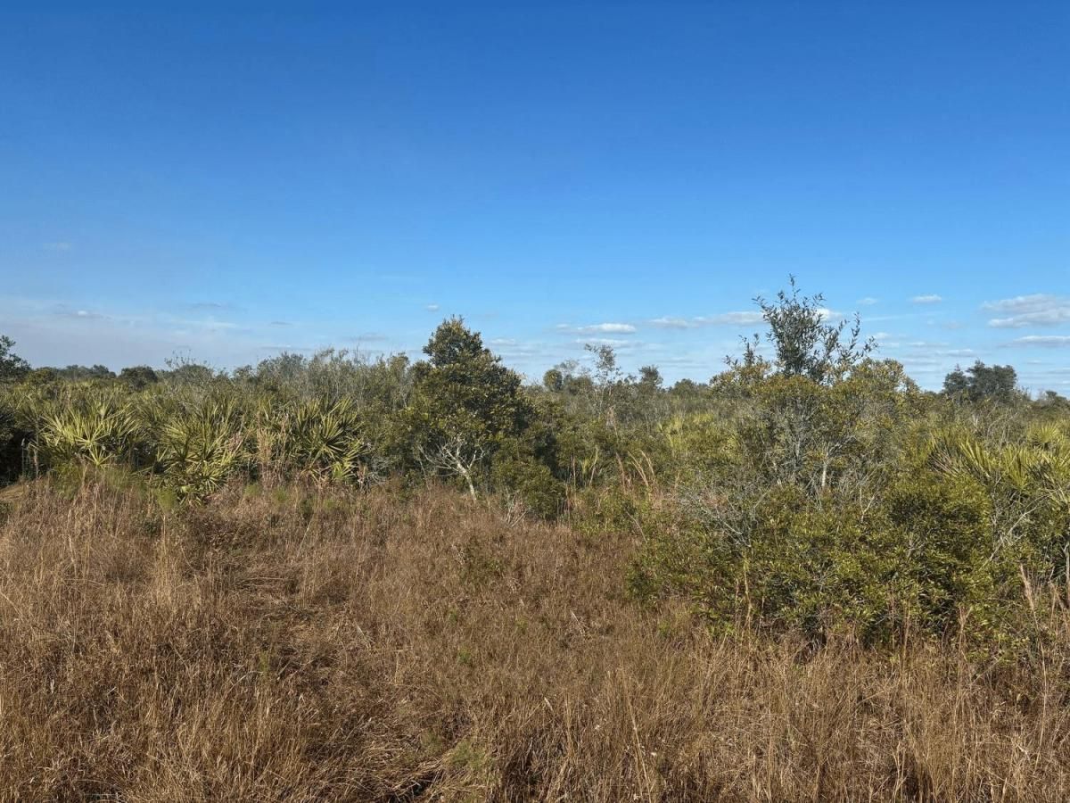 MLS #F10528493 image #0