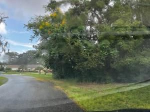 MLS #F10530362 image #0