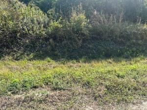 MLS #F10541131 image #0