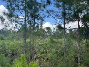 MLS #F10541305 image #0