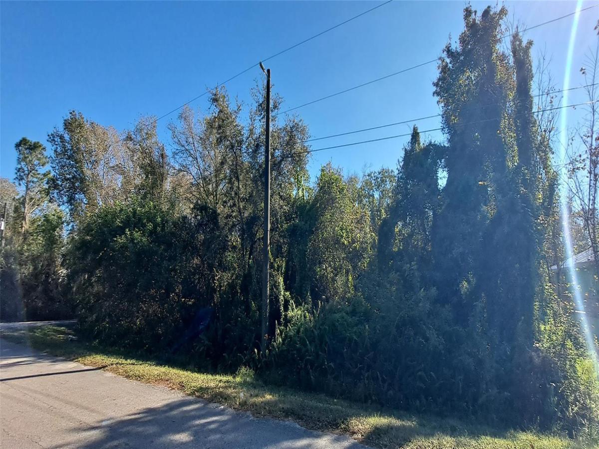 MLS #F10542542 image #0