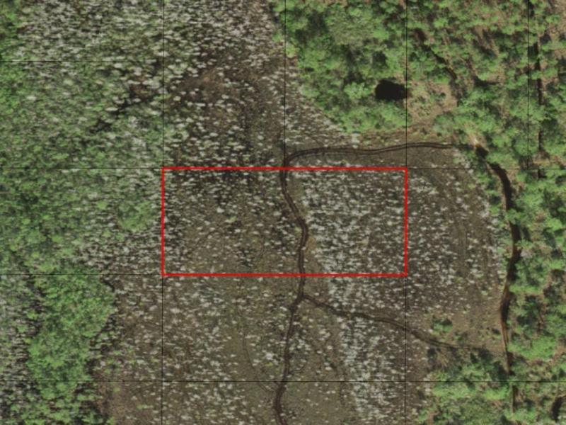 MLS #F10544317 image #0