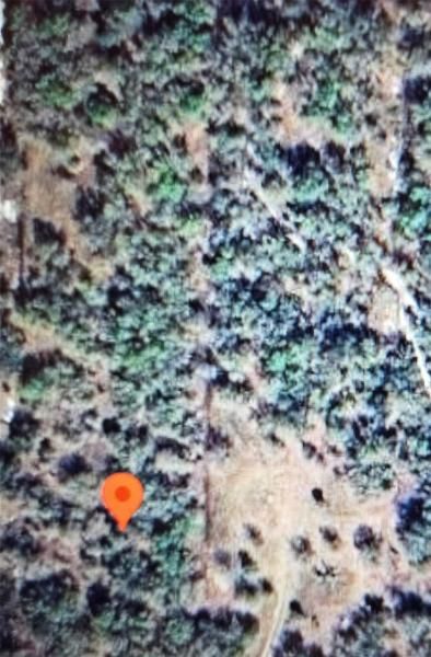 MLS #F10548388 image #0