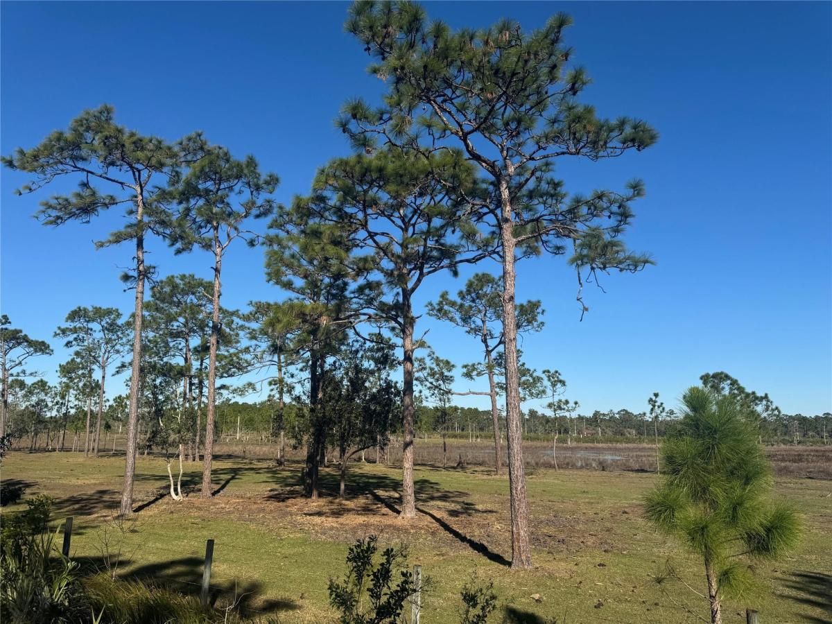 MLS #F10548958 image #0