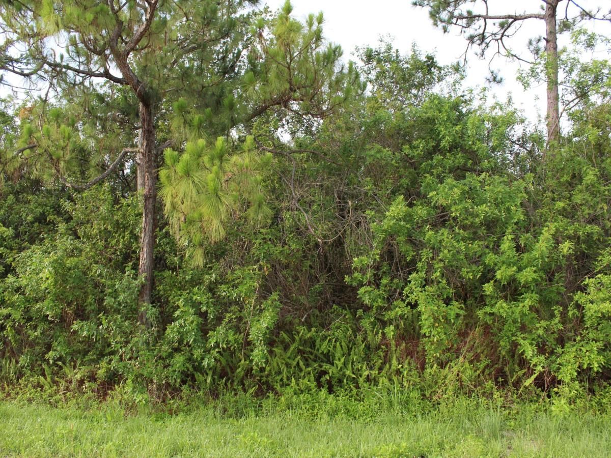 MLS #R11062029 image #0