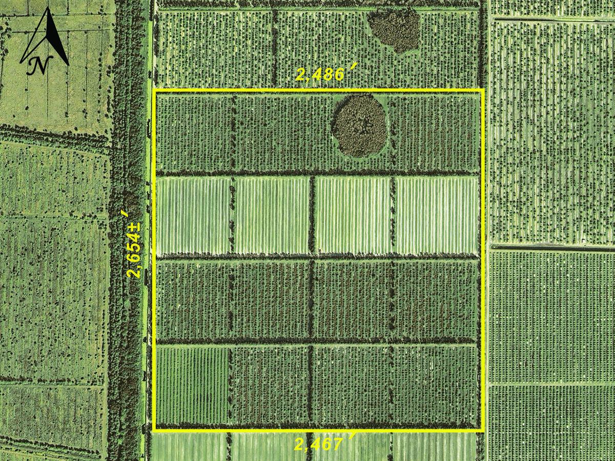 MLS #R11086297 image #0