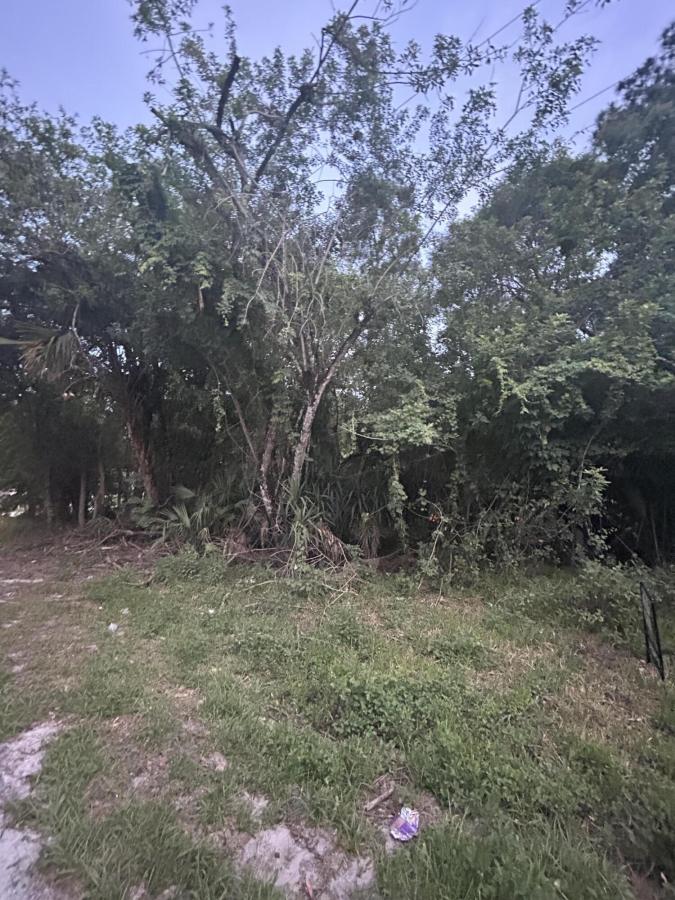MLS #R11089589 image #0