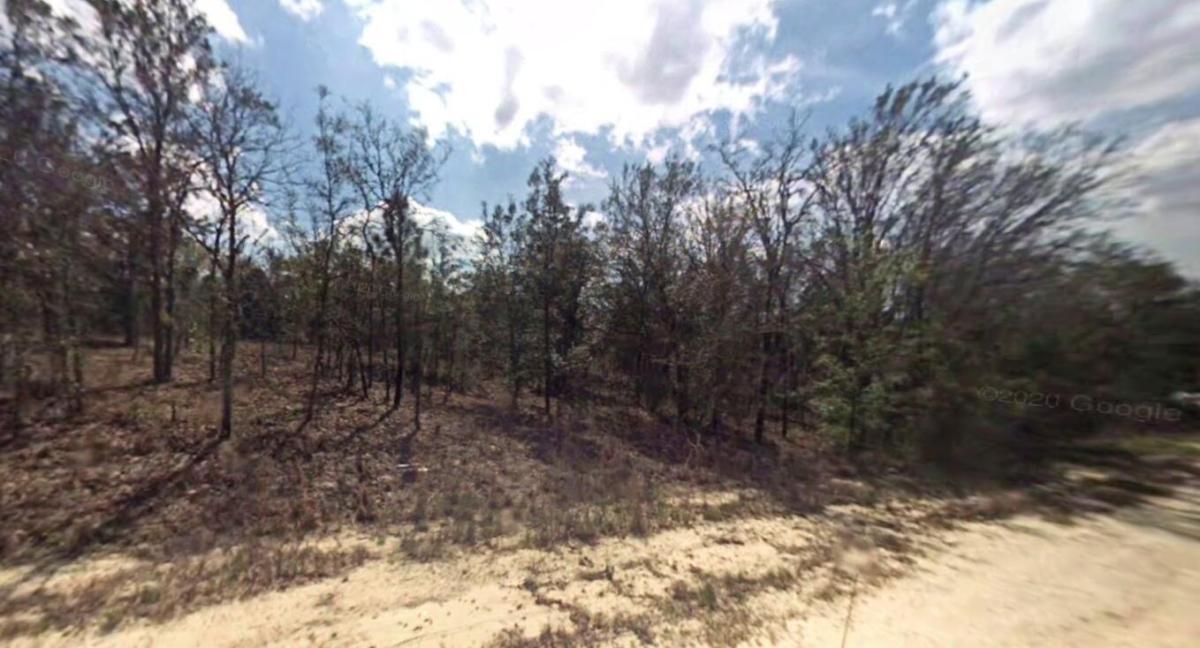 MLS #R11094159 image #0