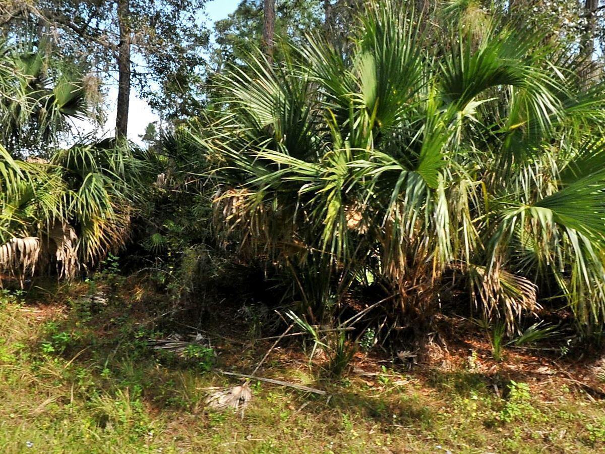 MLS #R11102664 image #0