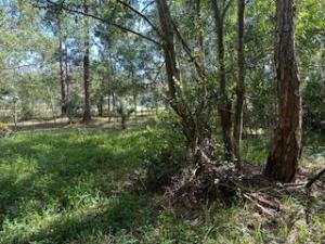 MLS #R11112581 image #0