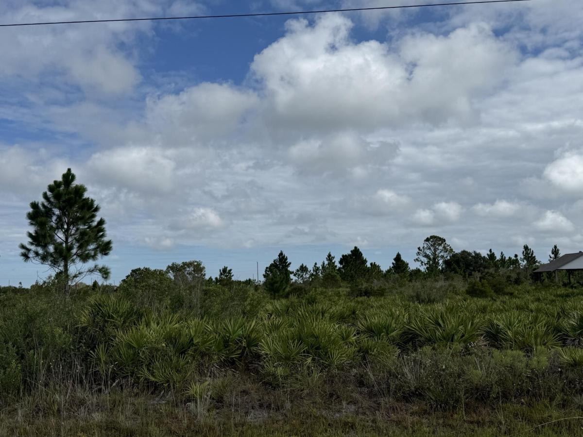 MLS #R11117565 image #0