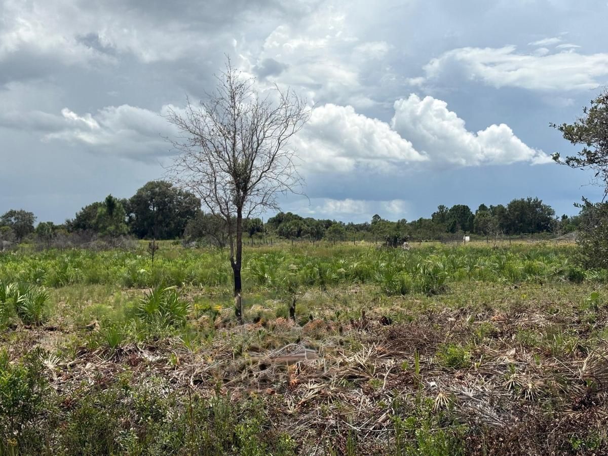 MLS #R11122187 image #0