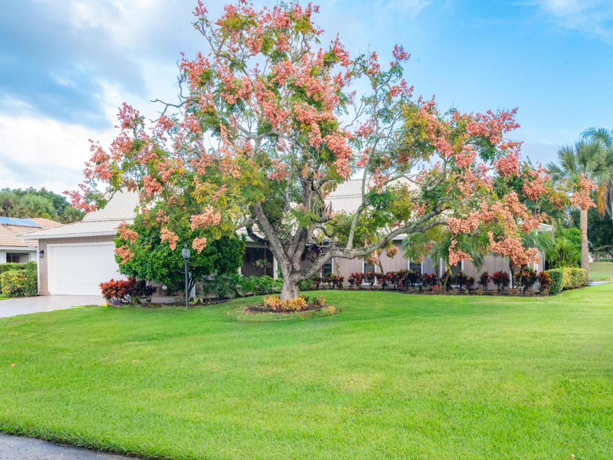 MLS #R11135294 image #0