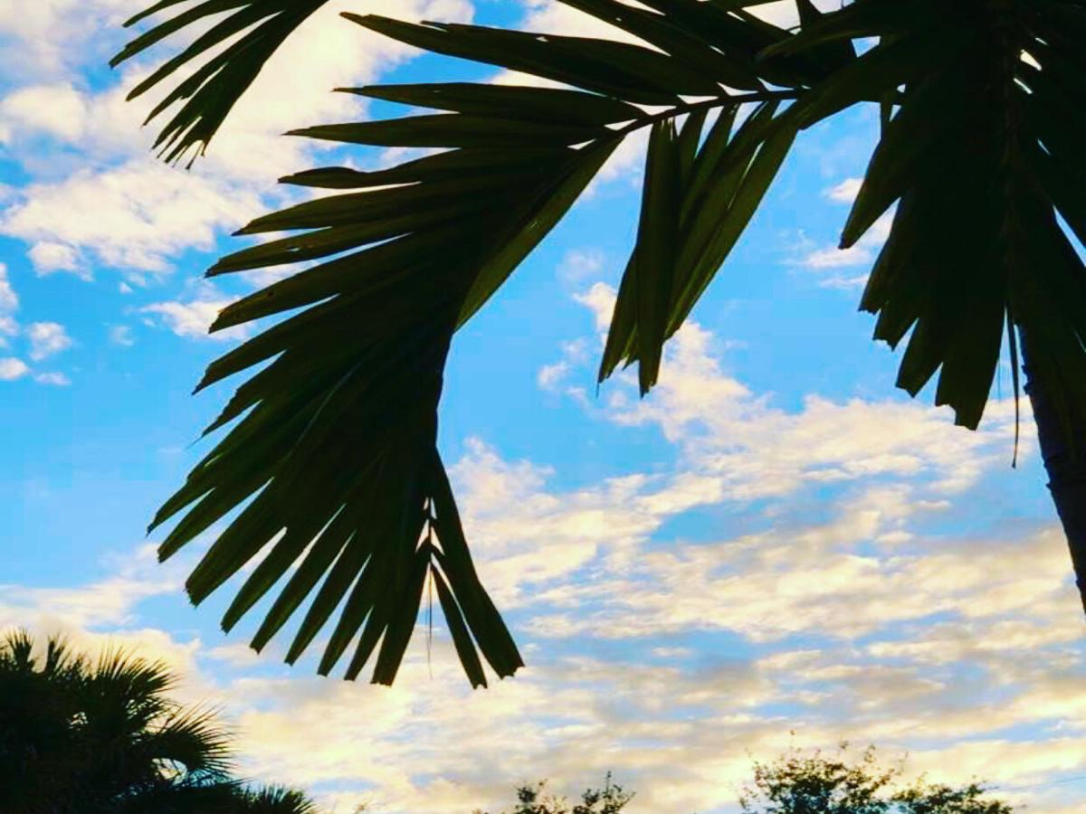 MLS #R11140560 image #0