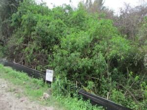 MLS #R11145051 image #0