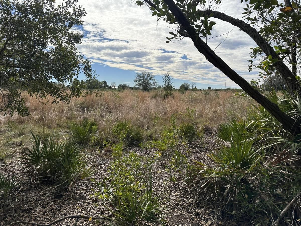 MLS #R11150373 image #0