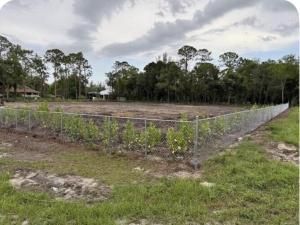 MLS #R11151540 image #0