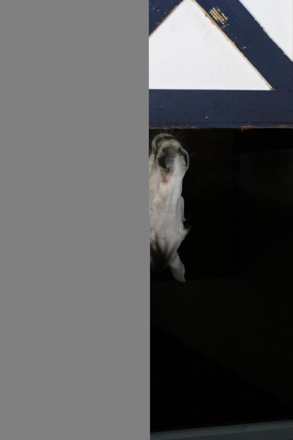 MLS #R11152528 image #0