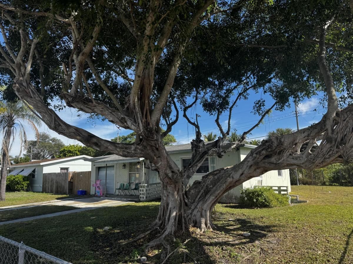 MLS #R11153268 image #0