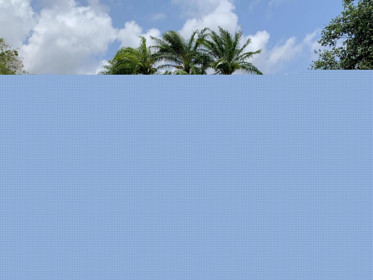 MLS #R11155816 image #0