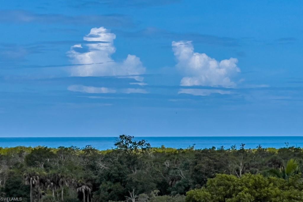 MLS #223003639 image #0