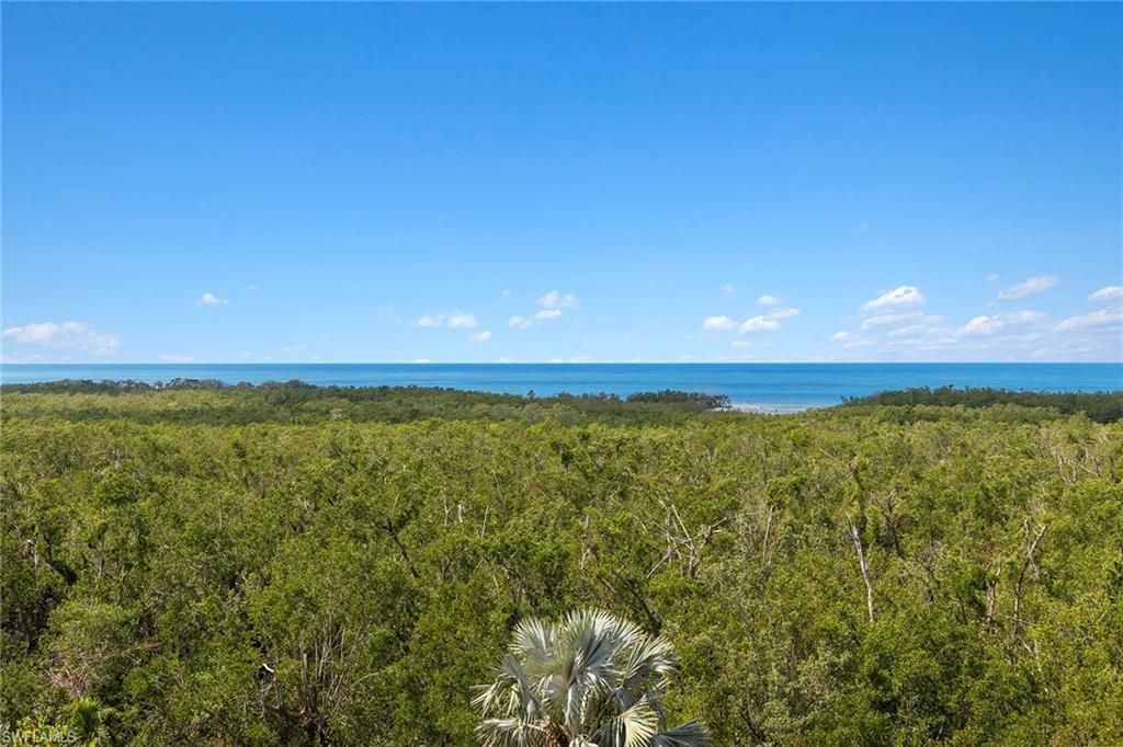 MLS #223019810 image #0